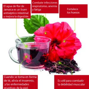 Flores de hibiscus