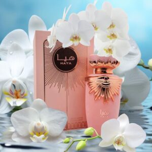 HAYA EDP